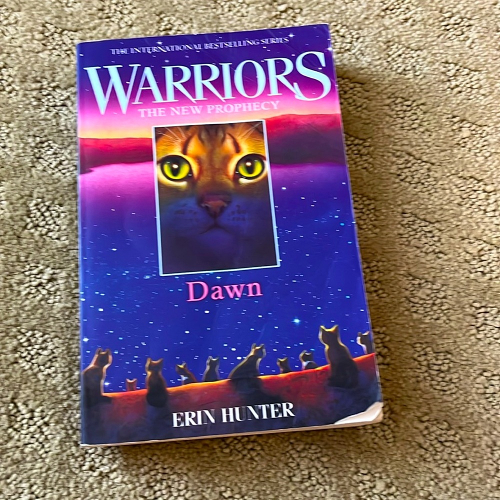 Warrior cats dawn softcover by erin hunter